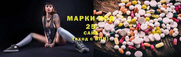 ГАЛЛЮЦИНОГЕННЫЕ ГРИБЫ Арсеньев