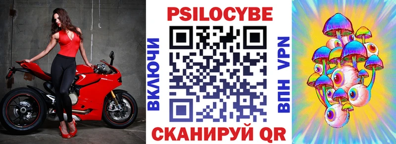 Псилоцибиновые грибы Cubensis  где купить   Рыбное 